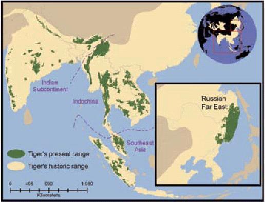 Afname leefgebied tijgers in Azi�.